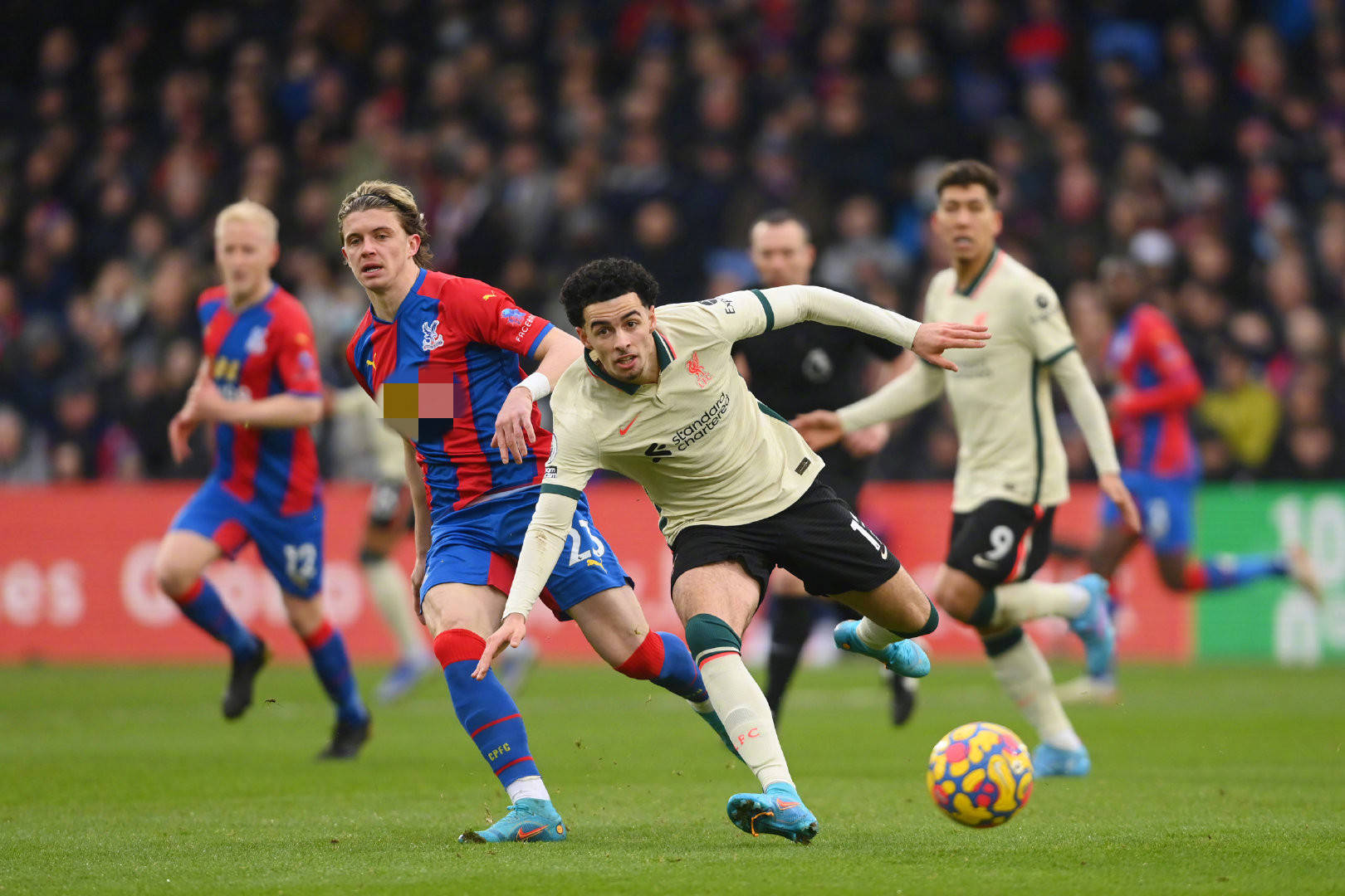 国内联赛的 国内联赛的